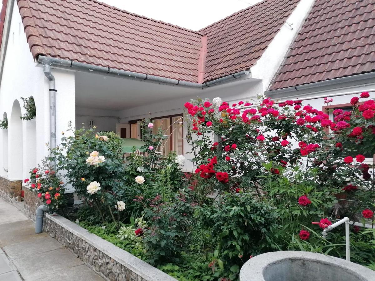 Hotel Pensiunea Spack Cristian  Esterno foto